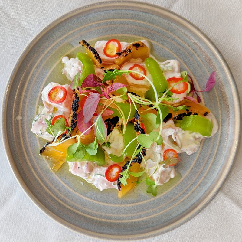 Ceviche Peruano Refrescante Marinado no Leite de Tigre com Cebola