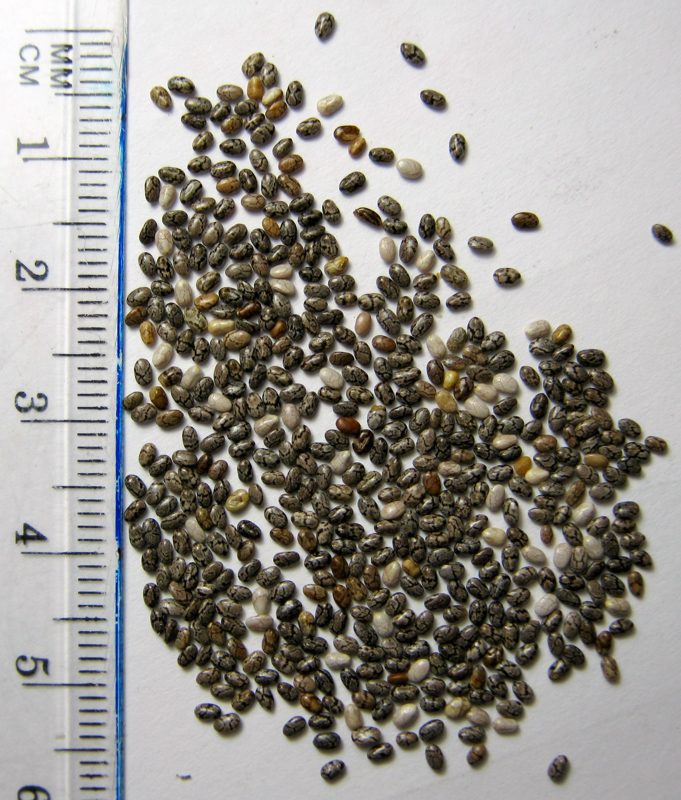 Pudim de Chia com Leite de Coco e Geleia de Morango Caseira